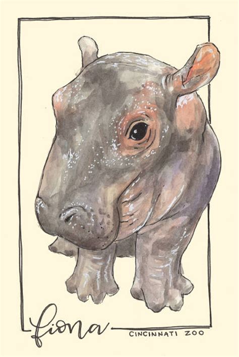 Bashful Fiona the Hippo Watercolor Art Print Animals Zoo - Etsy