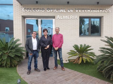 Colegio Oficial De Veterinarios De Almeria El Colegio De Veterinarios