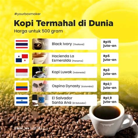 Kopi Termahal Di Dunia Salah Satunya Kopi Luwak Asal Indonesia