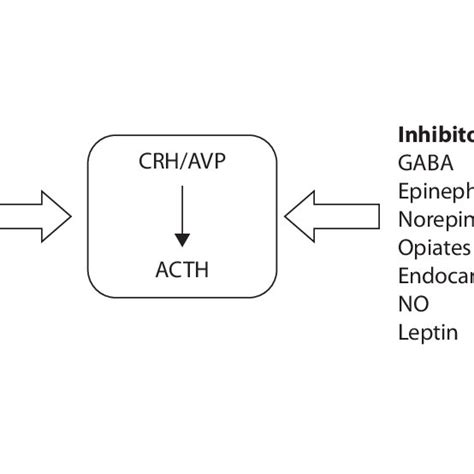 Effect Of Neurotransmitters And Other Neuromediators On Crhacth