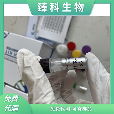 人幽门螺杆菌抗原hp）酶联免疫elisa试剂盒48t 上海臻科生物科技有限公司