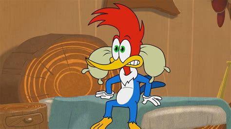 Woodys Nightmare Sleepover Woody Woodpecker Youtube