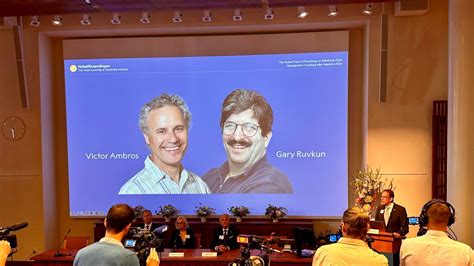 Nobel 2024 Premio Per La Medicina Victor Ambros E Gary Ruvkun Hanno