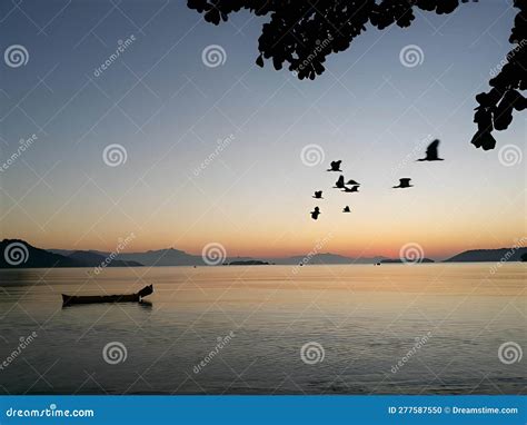 A Beautiful Sunset with Birds Flying Stock Photo - Image of beautiful, flying: 277587550