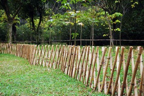 Cercos Para Jardineras