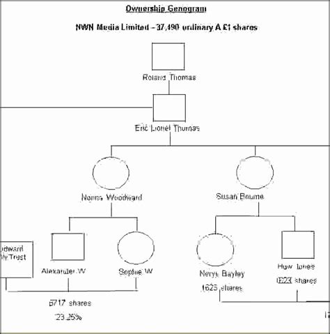 Free Genogram Template Google Docs