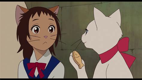 The Cat Returns Screencap The Cat Returns Studio Ghibli Movies