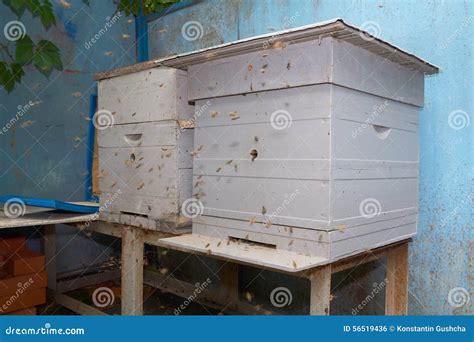 Two Beehives Stock Photo Image Of Country Frame Hobby 56519436