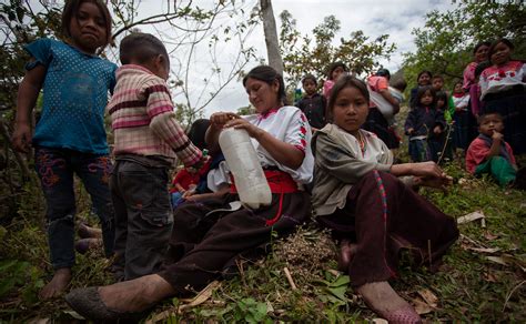 Se Agrava El Desplazamiento Forzado En Chiapas Onea