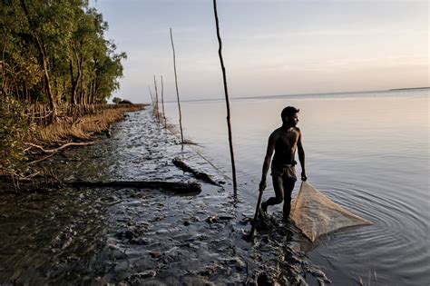 Turning The Tide Against Cholera The New York Times