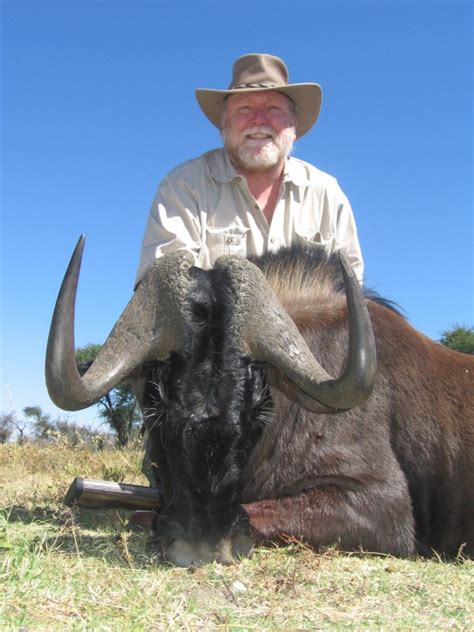 Black Wildebeest | Namibia Safari Corporation