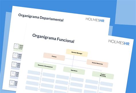 ¿cómo Hacer Un Organigrama Para Mi Empresa [incluye Plantilla]