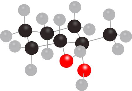 How Would You Prepare The Following Diol Homework Study