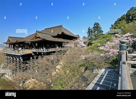 Kiyomizu Temple of cherry blossoms Stock Photo - Alamy