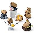 Amazon Beemai Capybara Series Pcs Set Of No Repeat Blind Box