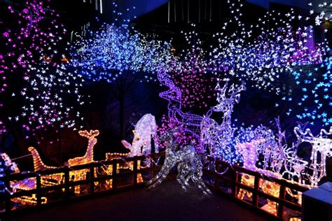 Christmas Light Displays You and the Family Can Drive Through Tonight!