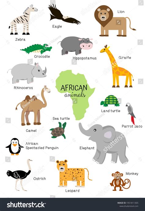 African Animals Names