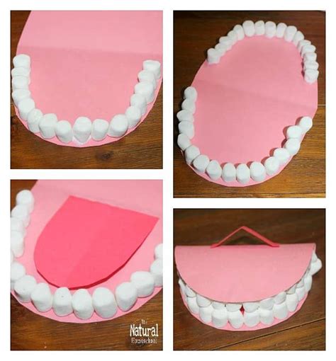 Mouth And Tooth Arts And Crafts For Kids The Natural Homeschool Teeth