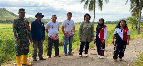 Berita BSIP TRI BSIP TRI Meninjau Kemajuan Perluasan Areal Tanam PAT