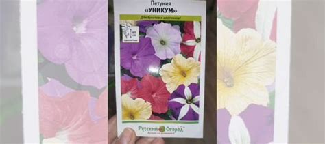 Рассада петуния купить в Перми | Товары для дома и дачи | Авито