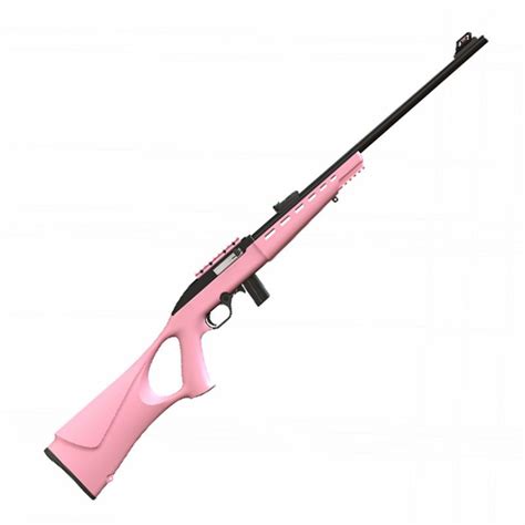 Rifle Cbc 7022 Way Rosa Cal22 10 Tiros Cano 21 Oxidado