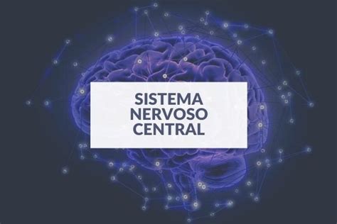 Tumores Do Sistema Nervoso Central Dr Gabriel GIl