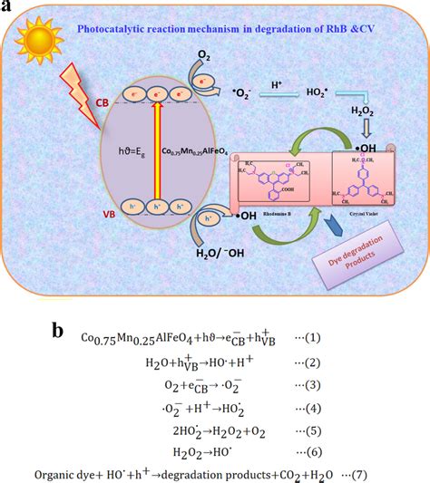 A Schematic Representation Of Photocatalytic Reaction Mechanism B