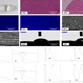 A Decellularized Tendon B C Light Micrographs Of The Histology Of