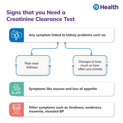 Creatinine Clearance Test Procedure Results And Normal Range