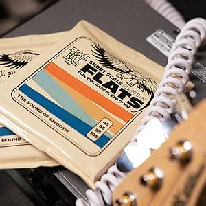 Amazon Co Jp Ernie Ball Flatwound Group Iv