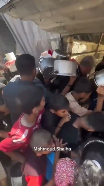 شمال غزة في مجاعة بفعل الحصار والحرب وإغلاق معبر رفحشمالغزة غزة