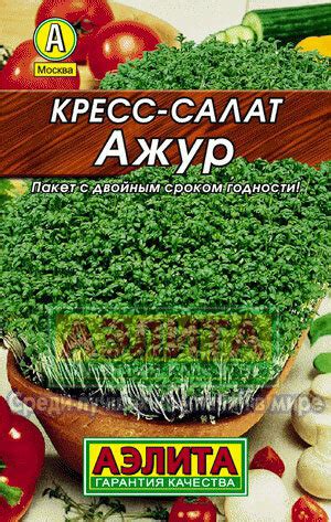 Купить Кресс-салат Ажур среднеранн сер.ЛИДЕР в Санкт-Петербурге | Салат