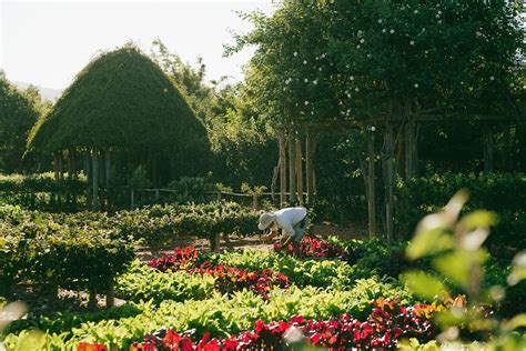 17 Reasons You Need To Visit Babylonstoren Wine Farm