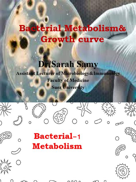 3 Bacterial Metabolism Pdf Bacteria Metabolism