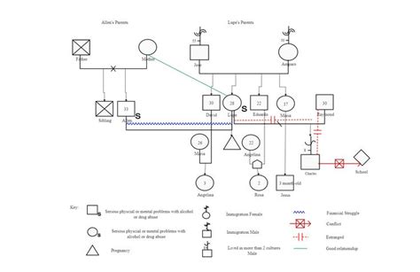 This Three Family Generation Genogram is an example of a three-family ...