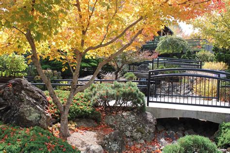 The Arboretum's Bonsai Exhibition Garden in Autumn: Curator's Talk and ...