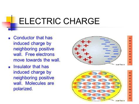 Electrical Conductor Presentation