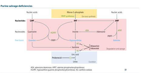 First Aid Usmle Step Biochemistry Flashcards Quizlet