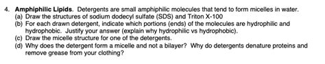 Answered: 4. Amphiphilic Lipids. Detergents are… | bartleby