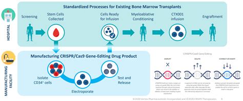 Crispr Therapeutics Remains Expensive With Slower Casgevy Monetization ...