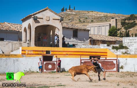 X Toros Capea En La Plaza De Toros De Pastrana