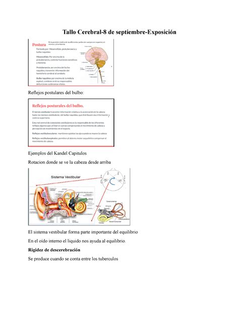 Tallo Cerebral Apuntes 2 Tallo Cerebral 8 de septiembre Exposición