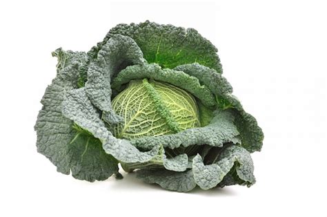 Premium Photo | Green cabbage