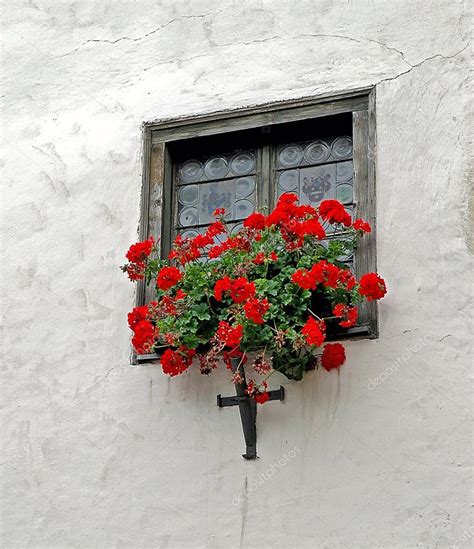 Red geraniums in window box — Stock Photo © jentara #123014032