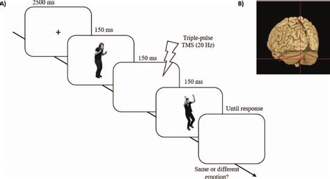 A Timeline Of An Experimental Trial In Experiment 1 Each Trial