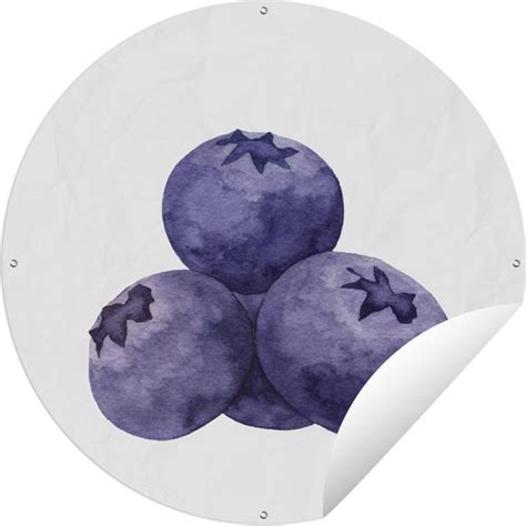 Tuincirkel Aquarel Bosbes Fruit X Cm Ronde Tuinposter