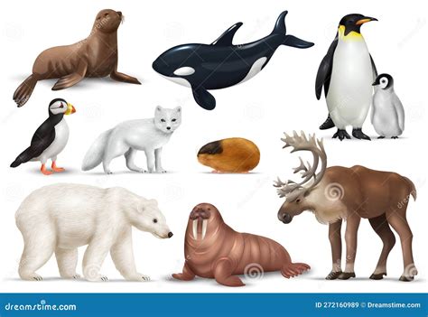 Arctic Animals Set stock illustration. Illustration of object - 272160989