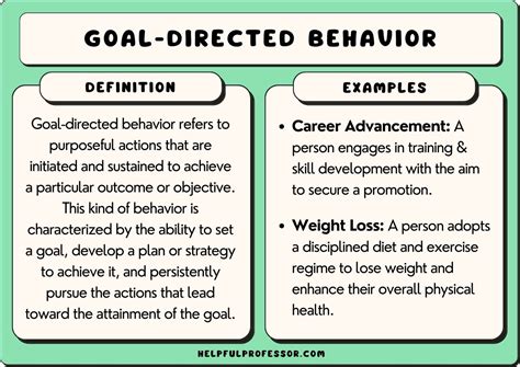 Goal Directed Behavior Definition Examples And Benefits 2025