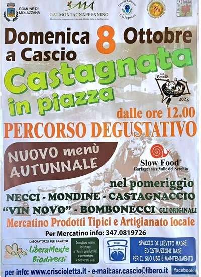 Castagnata In Piazza A Cascio Molazzana Domenica Ottobre