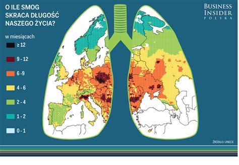 Smog w Polsce skraca nasze życie o rok Najgorzej jest na Śląsku